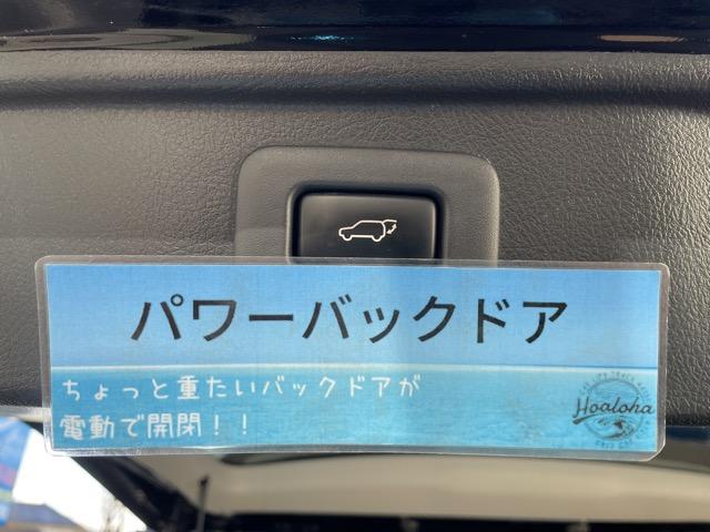 350S Cパッケージ エグゼクティブパワーシート フリップダウンモニター パワーテールゲート 両側パワースライドドア クルコン 車高調 純正HDDナビ 地デジ Bluetooth バックカメラ タイミングチェーン式(12枚目)