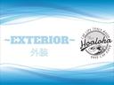 アブソルート・ＥＸ　フリップダウンモニター　レーダークルーズ　衝突軽減ブレーキ　両側パワースライドドア　ハーフレザーシート　純正ナビ　地デジ（フルセグ）　Ｂｌｕｅｔｏｏｔｈ　マルチビューカメラ　タイミングチェーン式　ＡＷ（37枚目）