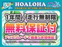 アブソルート・ＥＸ　フリップダウンモニター　レーダークルーズ　衝突軽減ブレーキ　両側パワースライドドア　ハーフレザーシート　純正ナビ　地デジ（フルセグ）　Ｂｌｕｅｔｏｏｔｈ　マルチビューカメラ　タイミングチェーン式　ＡＷ（64枚目）