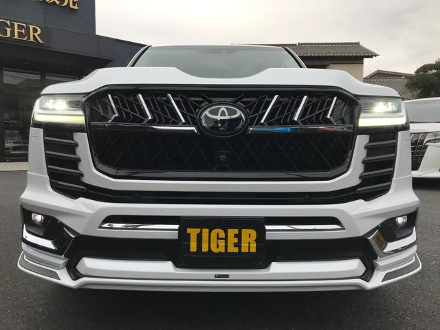 ＷＡＬＤのフロントグリル☆ＲＯＪＡＭリアセンタースポイラーやエアロミラーカバー、ＤＴＭサイドエキゾーストシステム等カスタムパーツ多数☆