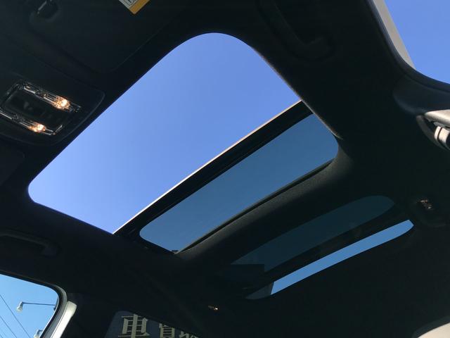 �p�m���~�b�N�X���C�f�B���O���[�t��