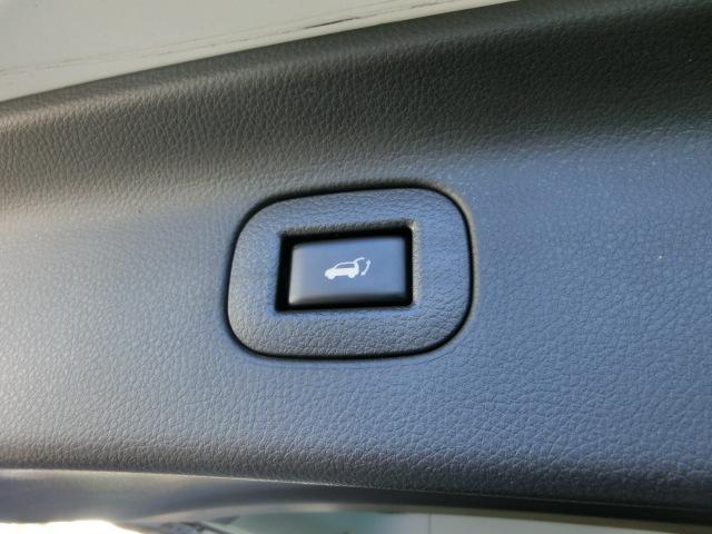 エルグランド ３５０ハイウェイスタープレミアム　両側電動スライドドア　パワーバックドア　純正ナビ　テレビ　Ｂｌｕｅｔｏｏｔｈオーディオ　バックカメラ　アラウンドビューモニター　フリップダウンモニター　ダブルサンルーフリア不動　オットマン（33枚目）