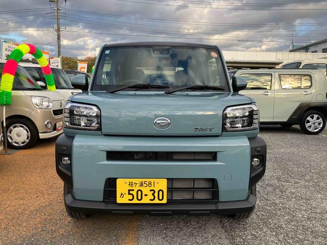 タフト G(2枚目)