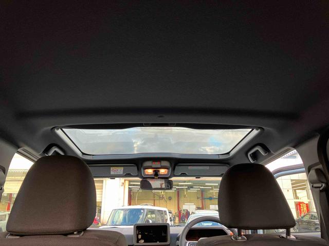 タフト G(12枚目)