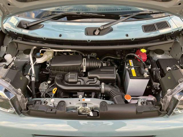 タフト G(17枚目)