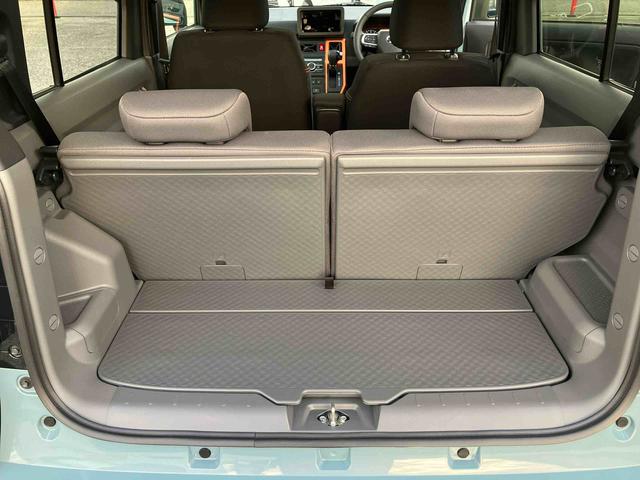 タフト G(18枚目)