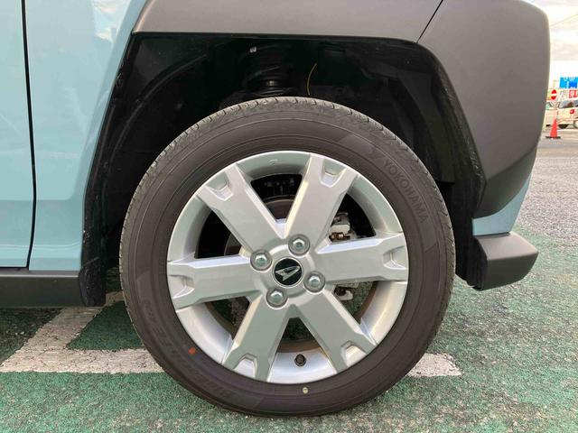 タフト G(19枚目)