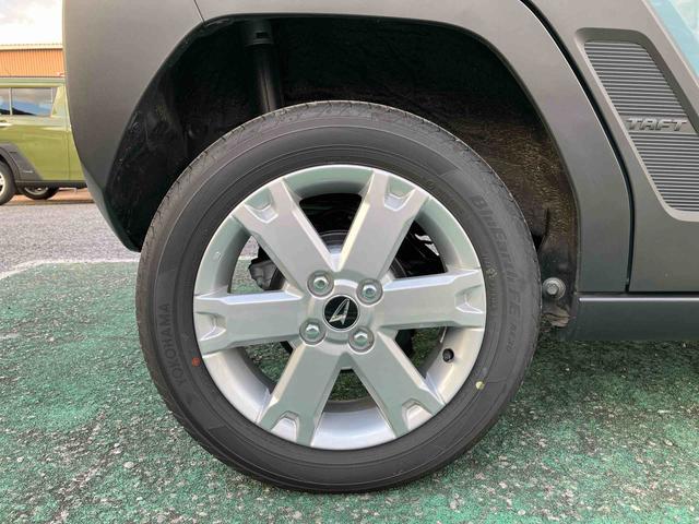 タフト G(20枚目)