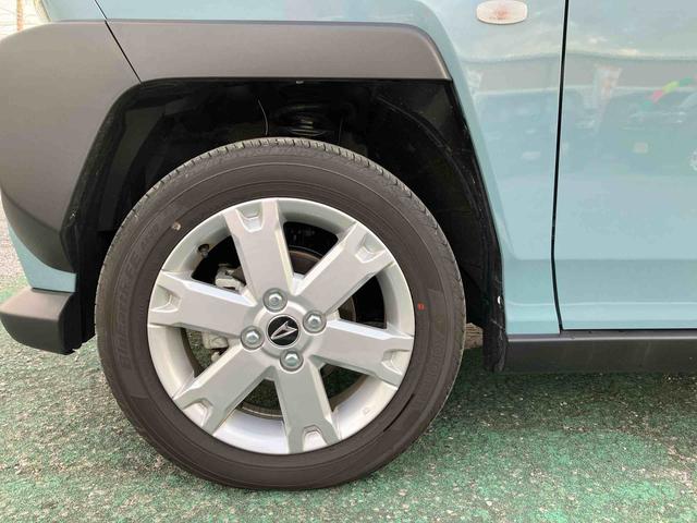 タフト G(21枚目)