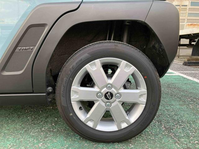 タフト G(22枚目)