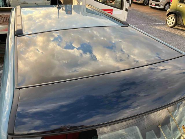 タフト G(27枚目)