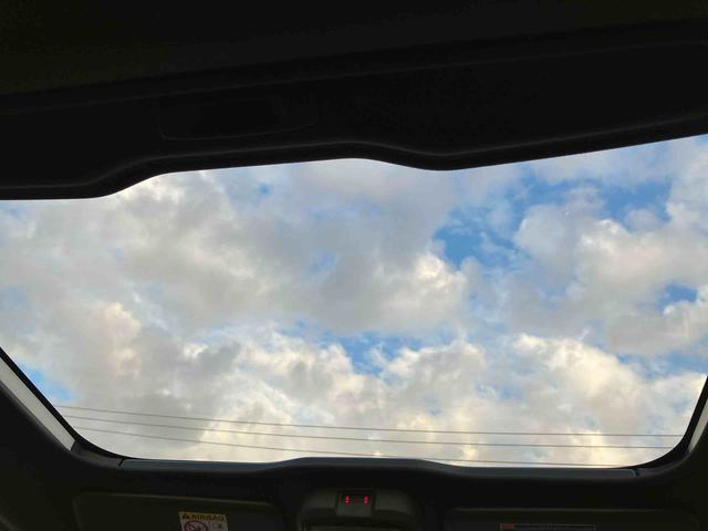 タフト G(28枚目)