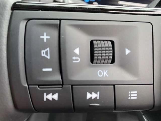 オーラ １．２　Ｇ　レザーエディション　ワンオーナ　追突防止　本革　車線逸脱警報装置　禁煙車　ＬＥＤ　記録簿　バックモニター　ＥＴＣ　メモリーナビゲーション　ＡＷ　キーレスエントリー　オートエアコン　ＡＢＳ　パワーウィンドウ　ＩＳＳ（14枚目）