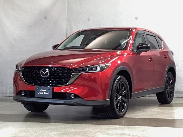 CX-5 2.0 20S ブラックトーンエディション(35枚目)