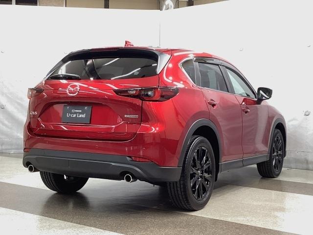 CX-5 2.0 20S ブラックトーンエディション(38枚目)