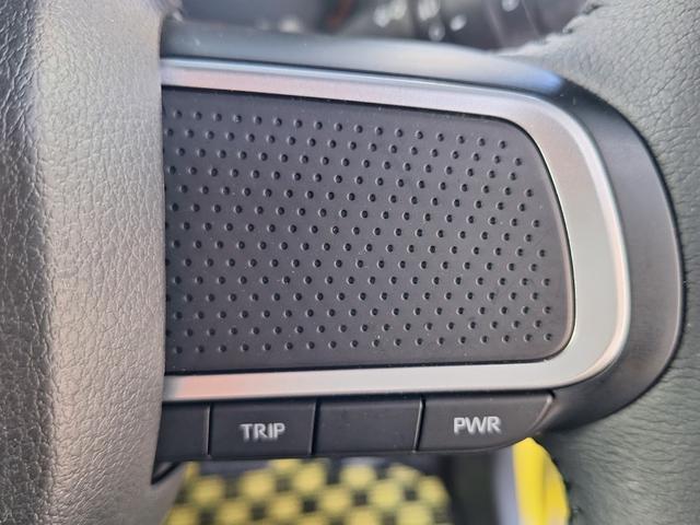 タフト 　スマートアシスト　ガラスルーフ　禁煙車（37枚目）