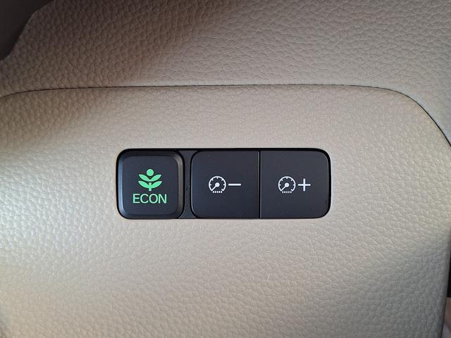 Ｎ－ＢＯＸ Ｇ・Ｌホンダセンシング　左側パワスラ（34枚目）