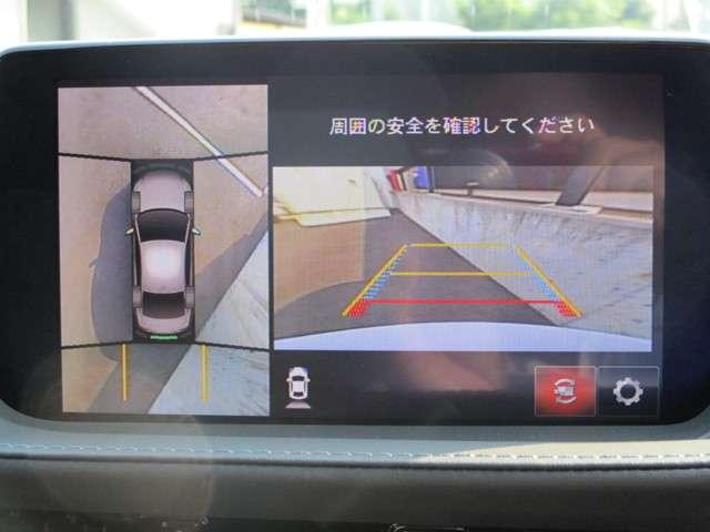 XD Lpkg ナビ 360度モニタ BOSE 茶革シート(9枚目)