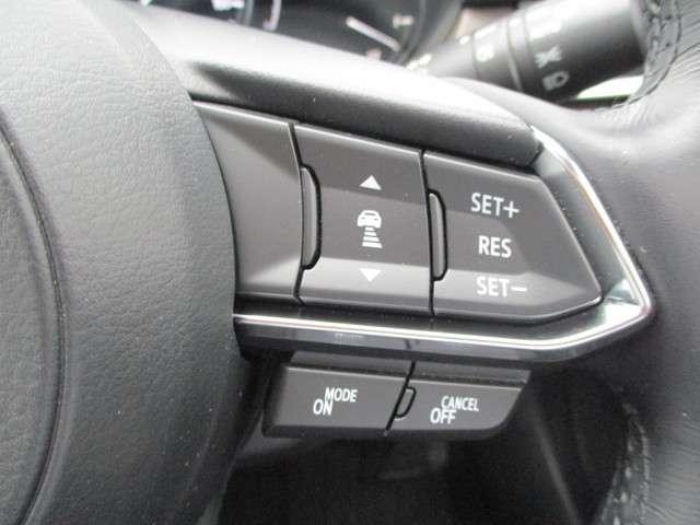 XD Lpkg 4WD ナビ 360度モニタ BOSE(7枚目)