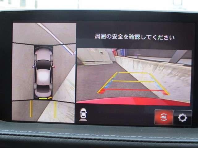 XD Lpkg 4WD ナビ 360度モニタ BOSE(9枚目)