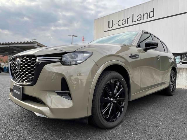 ＣＸ－６０ ＸＤ－ハイブリッド　トレッカー　４ＷＤ　ＥＴＣ　全周囲カメラ　クリアランスソナー　オートクルーズコントロール　パワーシート　衝突被害軽減システム　サンルーフ　ナビ　ＴＶ　オートマチックハイビーム　オートライト　ＬＥＤヘッドランプ（40枚目）