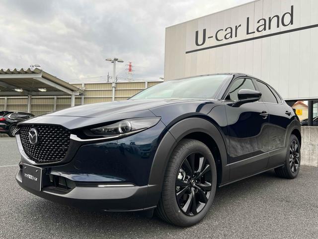 ＣＸ－３０ ２０Ｓ　レトロスポーツエディション　ＥＴＣ　全周囲カメラ　クリアランスソナー　オートクルーズコントロール　パワーシート　衝突被害軽減システム　ナビ　ＴＶ　ＬＥＤヘッドランプ　電動リアゲート　アルミホイール　スマートキー（13枚目）