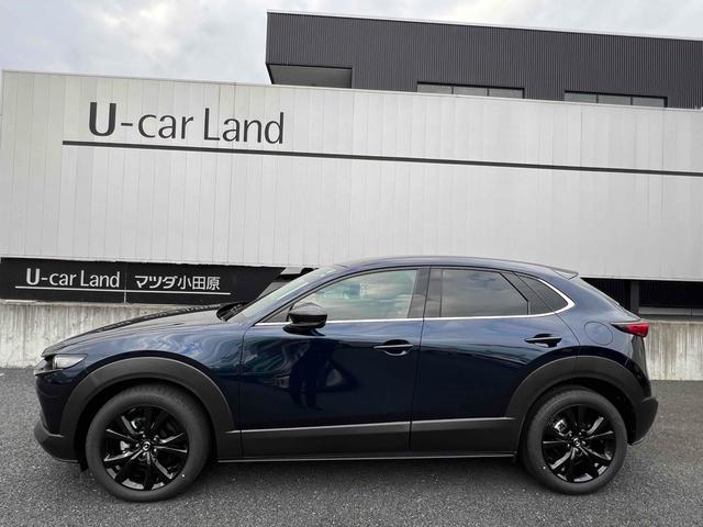 ＣＸ－３０ ２０Ｓ　レトロスポーツエディション　ＥＴＣ　全周囲カメラ　クリアランスソナー　オートクルーズコントロール　パワーシート　衝突被害軽減システム　ナビ　ＴＶ　ＬＥＤヘッドランプ　電動リアゲート　アルミホイール　スマートキー（14枚目）