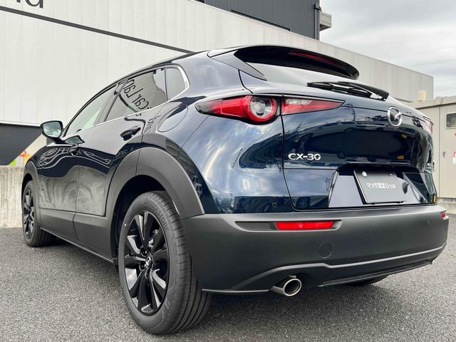 ＣＸ－３０ ２０Ｓ　レトロスポーツエディション　ＥＴＣ　全周囲カメラ　クリアランスソナー　オートクルーズコントロール　パワーシート　衝突被害軽減システム　ナビ　ＴＶ　ＬＥＤヘッドランプ　電動リアゲート　アルミホイール　スマートキー（15枚目）