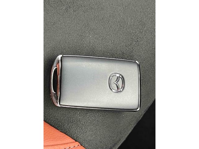 ＣＸ－３０ ２０Ｓ　レトロスポーツエディション　ＥＴＣ　全周囲カメラ　クリアランスソナー　オートクルーズコントロール　パワーシート　衝突被害軽減システム　ナビ　ＴＶ　ＬＥＤヘッドランプ　電動リアゲート　アルミホイール　スマートキー（26枚目）