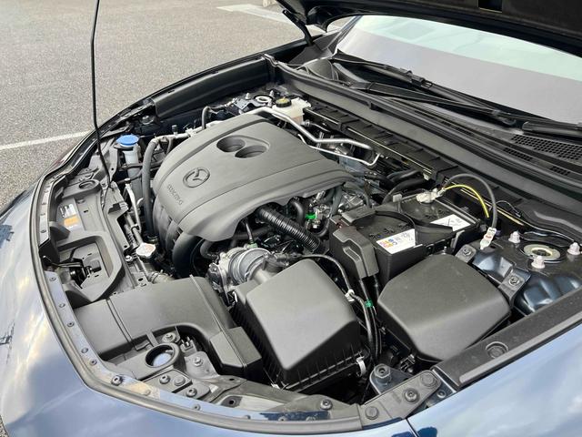 ＣＸ－３０ ２０Ｓ　レトロスポーツエディション　ＥＴＣ　全周囲カメラ　クリアランスソナー　オートクルーズコントロール　パワーシート　衝突被害軽減システム　ナビ　ＴＶ　ＬＥＤヘッドランプ　電動リアゲート　アルミホイール　スマートキー（38枚目）