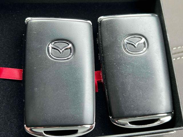 CX-30 XD Lパッケージ ドライブレコーダー ETC 全周囲カメラ クリアランスソナー オートクルーズコントロール レーンアシスト パワーシート 衝突被害軽減システム ナビ TV オートマチックハイビーム オートライト(11枚目)