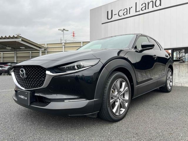 CX-30 XD Lパッケージ ドライブレコーダー ETC 全周囲カメラ クリアランスソナー オートクルーズコントロール レーンアシスト パワーシート 衝突被害軽減システム ナビ TV オートマチックハイビーム オートライト(12枚目)