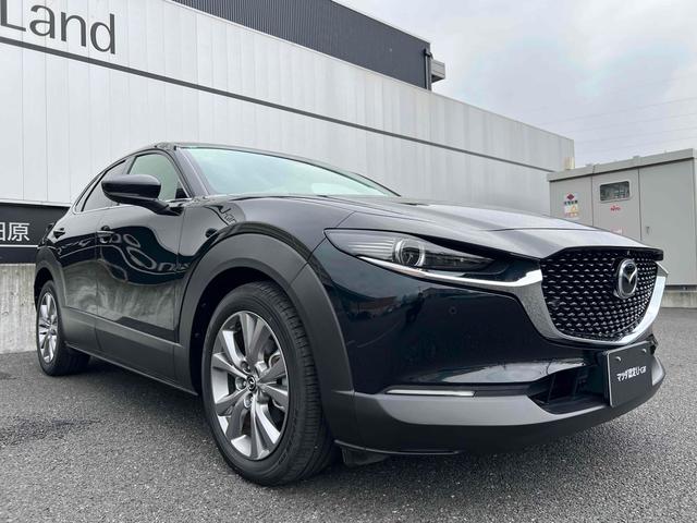CX-30 XD Lパッケージ ドライブレコーダー ETC 全周囲カメラ クリアランスソナー オートクルーズコントロール レーンアシスト パワーシート 衝突被害軽減システム ナビ TV オートマチックハイビーム オートライト(14枚目)