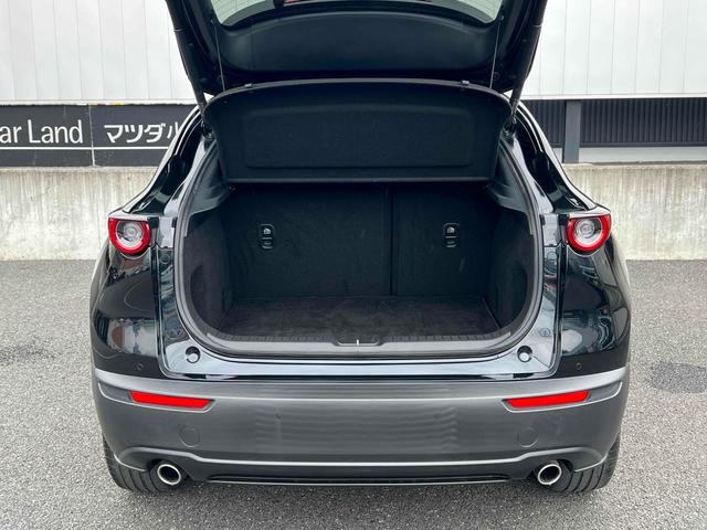 CX-30 XD Lパッケージ ドライブレコーダー ETC 全周囲カメラ クリアランスソナー オートクルーズコントロール レーンアシスト パワーシート 衝突被害軽減システム ナビ TV オートマチックハイビーム オートライト(18枚目)