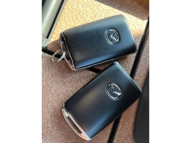 ���Ԃ̒m�����Ȃ��Ă����v�ł��I�F�l�̂����X���X�^�b�t�ꓯ�A�S��肨�҂����Ă���܂��B