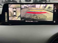 �������̷���˥����ۥ���ޤ������鸫�������Ƥ��뤫�Τ褦�ˡ�ľ��Ū�˼��Ϥξ������İ��Ǥ��������̷���˥������������Ǥ���֤Ǥ���Ϥ������ǳ�ǧ�Ǥ��ޤ��� 5