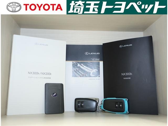 NX NX300h 盗難防止システム AUX Bカメラ 地デジTV LEDヘッド 横滑り防止 DVD アルミホイール メモリーナビ ETC スマートキー オートクルーズコントロール キーレス オートエアコン PWシート(19枚目)