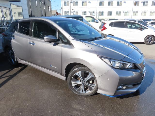 リーフ e+ G ドライブレコーダー ETC 全周囲カメラ ナビ TV クリアランスソナー オートクルーズコントロール 自動駐車システム 衝突被害軽減システム オートライト LEDヘッドランプ 革シート スマートキー(20枚目)