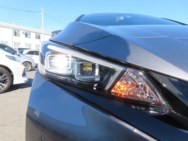 リーフ e+ G ドライブレコーダー ETC 全周囲カメラ ナビ TV クリアランスソナー オートクルーズコントロール 自動駐車システム 衝突被害軽減システム オートライト LEDヘッドランプ 革シート スマートキー(46枚目)