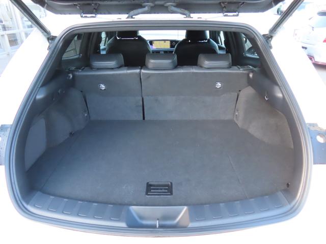 ＵＸ ＵＸ２５０ｈ　バージョンＬ　バックカメラ　クリアランスソナー　オートクルーズコントロール　レーンアシスト　パワーシート　衝突被害軽減システム　ナビ　オートマチックハイビーム　オートライト　ＬＥＤヘッドランプ　電動リアゲート（18枚目）