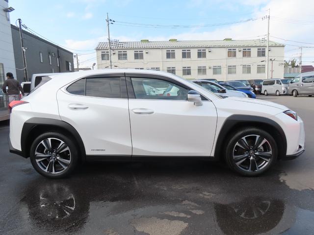 ＵＸ ＵＸ２５０ｈ　バージョンＬ　バックカメラ　クリアランスソナー　オートクルーズコントロール　レーンアシスト　パワーシート　衝突被害軽減システム　ナビ　オートマチックハイビーム　オートライト　ＬＥＤヘッドランプ　電動リアゲート（23枚目）