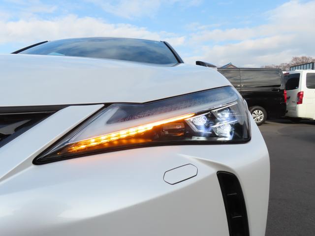 ＵＸ ＵＸ２５０ｈ　バージョンＬ　バックカメラ　クリアランスソナー　オートクルーズコントロール　レーンアシスト　パワーシート　衝突被害軽減システム　ナビ　オートマチックハイビーム　オートライト　ＬＥＤヘッドランプ　電動リアゲート（28枚目）