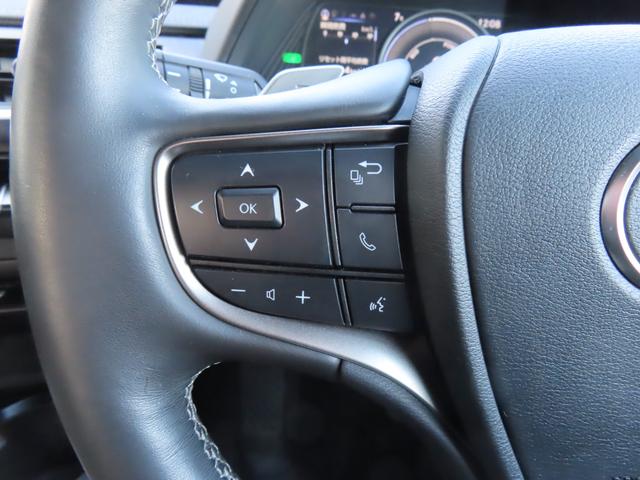 ＵＸ ＵＸ２５０ｈ　バージョンＬ　バックカメラ　クリアランスソナー　オートクルーズコントロール　レーンアシスト　パワーシート　衝突被害軽減システム　ナビ　オートマチックハイビーム　オートライト　ＬＥＤヘッドランプ　電動リアゲート（36枚目）