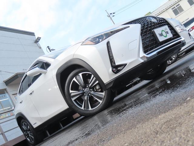 ＵＸ ＵＸ２５０ｈ　バージョンＬ　バックカメラ　クリアランスソナー　オートクルーズコントロール　レーンアシスト　パワーシート　衝突被害軽減システム　ナビ　オートマチックハイビーム　オートライト　ＬＥＤヘッドランプ　電動リアゲート（58枚目）