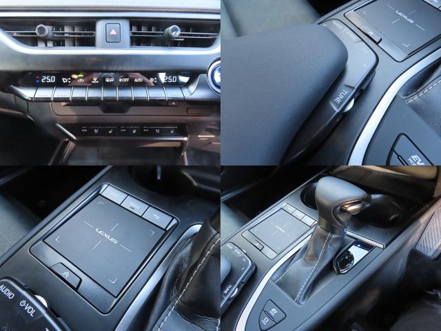 ＵＸ ＵＸ２５０ｈ　バージョンＬ　バックカメラ　クリアランスソナー　オートクルーズコントロール　レーンアシスト　パワーシート　衝突被害軽減システム　ナビ　オートマチックハイビーム　オートライト　ＬＥＤヘッドランプ　電動リアゲート（74枚目）