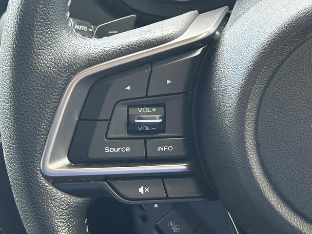 フォレスター アドバンス　タイヤ４本交換済み　パナソニックＳＤナビ　アイサイトバージョン３搭載　前席パワーシート　パワーリヤゲート　Ｘモード　誤後退ブレーキサポート　歩行者保護エアバッグ　パナソニックＳＤナビ　フロント・サイド・バックカメラ　ＥＴＣ２．０　前後ドラレコ（22枚目）