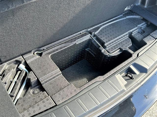 フォレスター アドバンス　タイヤ４本交換済み　パナソニックＳＤナビ　アイサイトバージョン３搭載　前席パワーシート　パワーリヤゲート　Ｘモード　誤後退ブレーキサポート　歩行者保護エアバッグ　パナソニックＳＤナビ　フロント・サイド・バックカメラ　ＥＴＣ２．０　前後ドラレコ（33枚目）