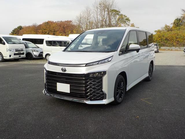 ヴォクシー S-G 車椅子2脚仕様 ウインチ 両側電動スライドドア リアヒーター キーフリー(10枚目)