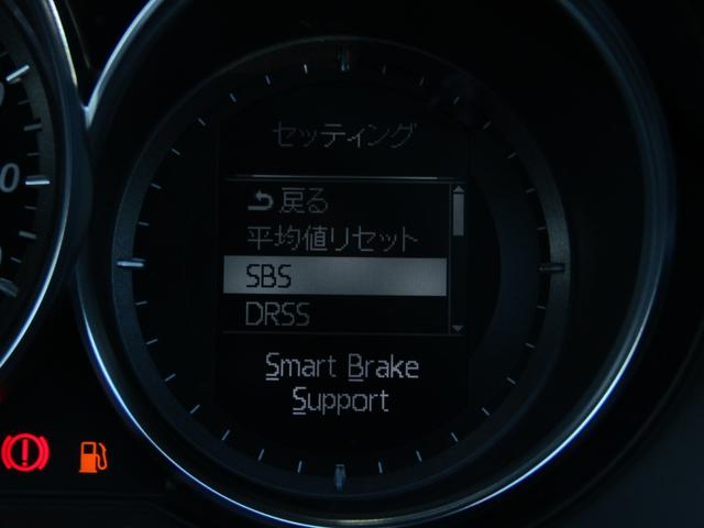XD セーフティPKG1・2 レーダークルーズC スマートシティブレーキサポート 車線変更後方接近警報 車線逸脱警報 HIDライト 17インチAW ナビBカメラ地デジ パドルS ETC(22枚目)