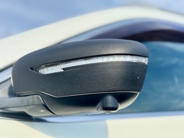 エクストレイル 20XエクストリーマーXエマージェンシーブレーキP 修復歴無 サンルーフ ルーフレール HKSマフラー MKW16AW JAOSマッドフラップ Fフォグ 純正7型ナビ・TV・USB 全周囲カメラ ALPINEツィーター シートヒーター コーナーセンサー(57枚目)